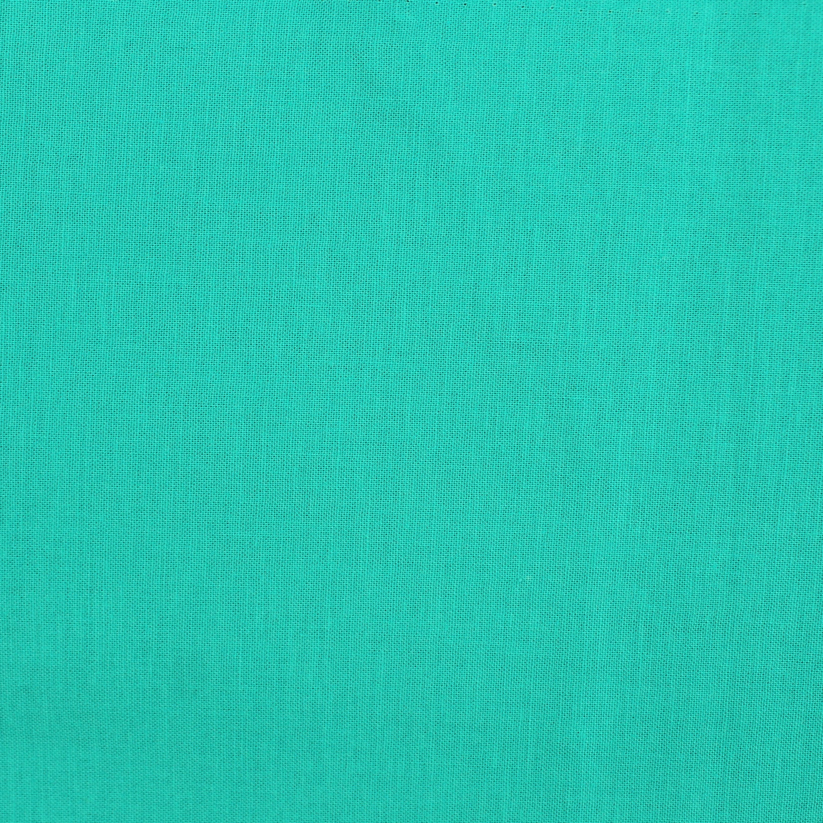 Thumbnail 47